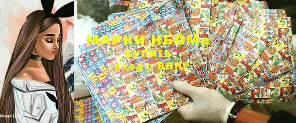 ГАЛЛЮЦИНОГЕННЫЕ ГРИБЫ Белокуриха