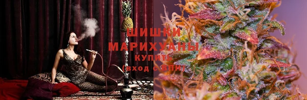 ГАЛЛЮЦИНОГЕННЫЕ ГРИБЫ Белокуриха