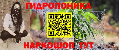 PSILOCYBIN Беслан