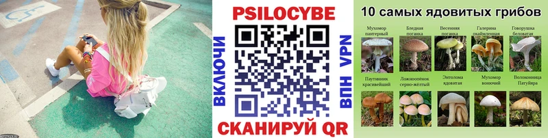 сколько стоит  Гай  Галлюциногенные грибы ЛСД 