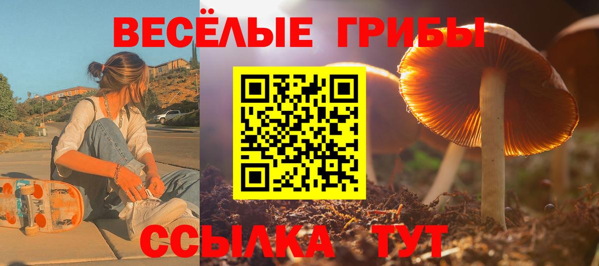 где можно купить   Вход с VPN  Гай  Галлюциногенные грибы прущие грибы 